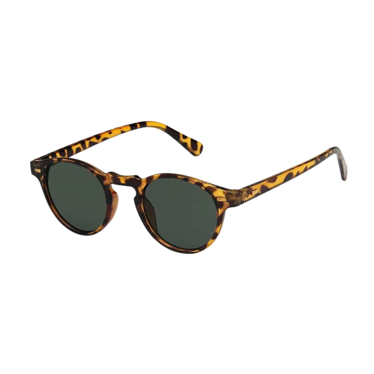 Sunglasses – Recife 6