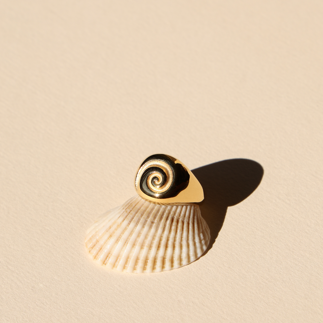 Nautilus Spiral Signet Ring — Calypso