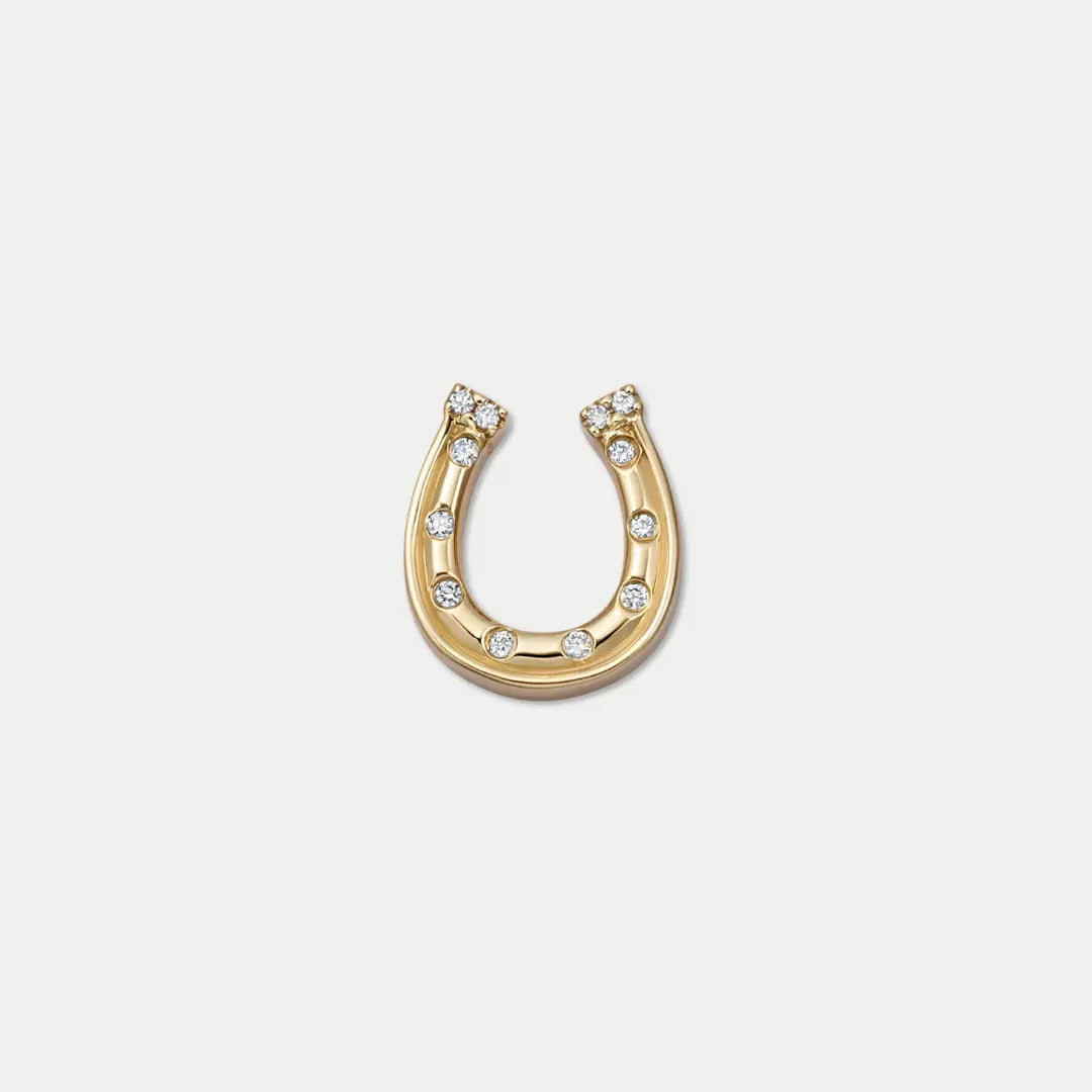Horseshoe Charm with Clear Details