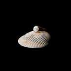 Round Mother-of-Pearl Signet Ring