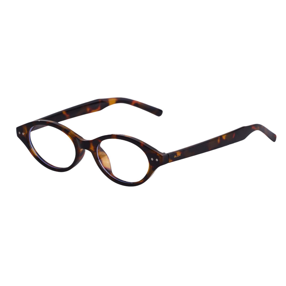 Sunglasses – Darwin 2