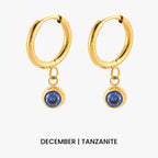 Birthstone Color CZ Charm Hoop Earrings