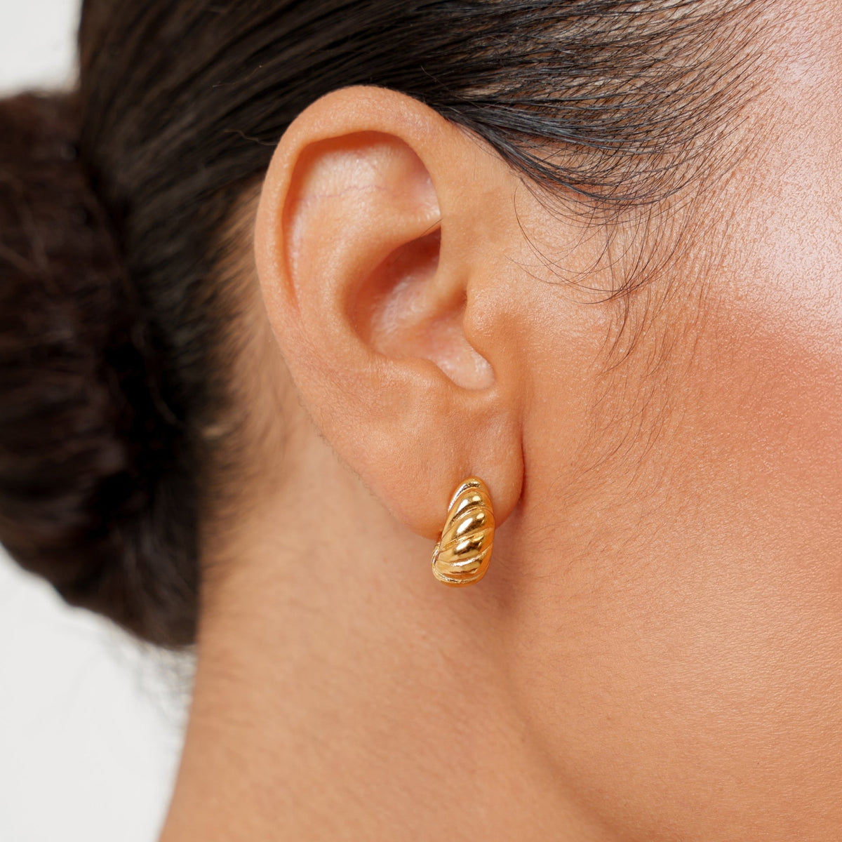 Nautilus Spiral Earrings, 18K Gold PVD Stainless Steel