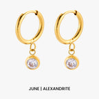 Birthstone Color CZ Charm Hoop Earrings