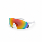 Sunglasses – Aspen 3