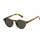 Sunglasses – Guayaquil 1