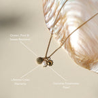 Sun Shell and Freshwater Pearl Necklace