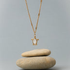 Mother of Pearl Turtle Necklace — Guardian