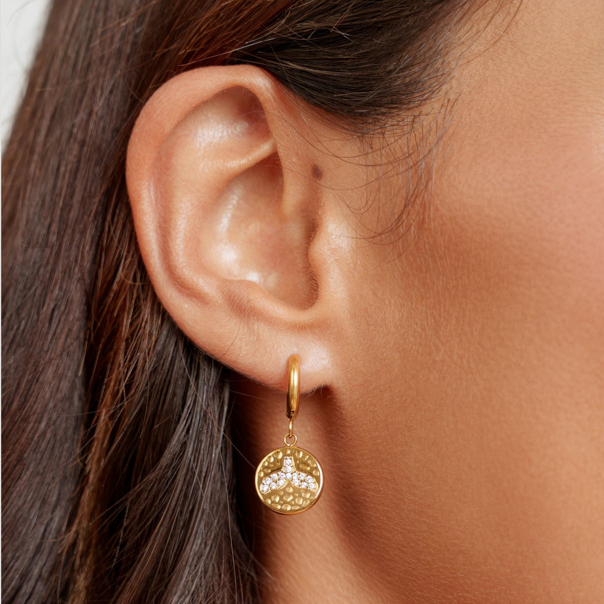 Whale Tail Coin Drop Hoop Earrings, Steel